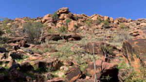 New nature reserves in Far West