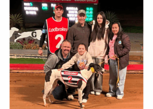 Three for Hipwell