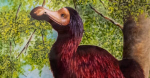 Creatures feature in exhibition