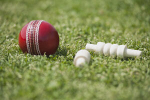 Bulldogs dominate Roos