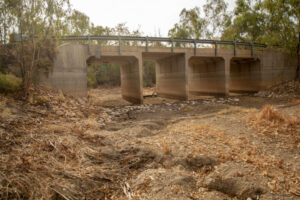 Report calls to return Darling flows