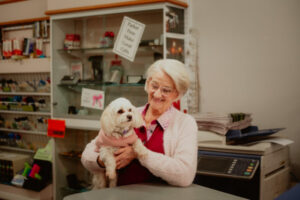 Shop dog in the window