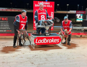 Broken Hill Greyhounds Results