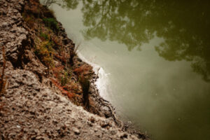 Algae alert still in place
