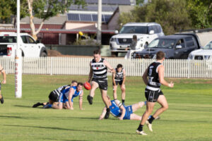Dogs look to keep building, and are the Roos the real deal?