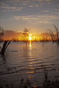 Murray Darling Basin Authority and NSW Government act on water concern