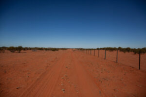 Red Dirt, Blues Skies call for art