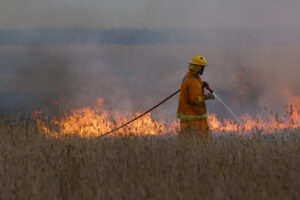 Fire danger season
