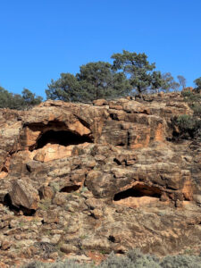 Purchase of station a conservation win