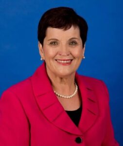Questions over Turley’s LGNSW role