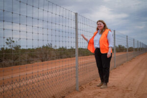 Dog fence upgrades arrive