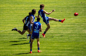 Dog days ahead for Robins