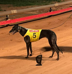 Final goes to Mildura