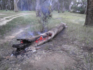 Festive period fire ban