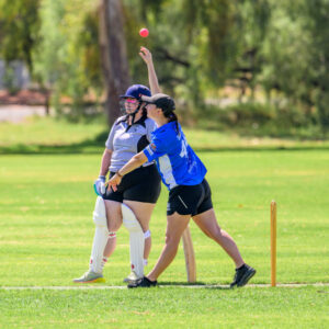 Unbeaten run intact as North march into grand final