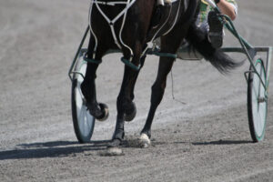 Trainer cops three month ban