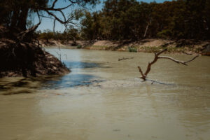 Citizen scientist water sampling ends for year