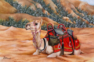 Three new exhibitions spotlight the Outback