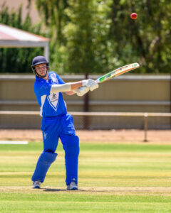 Twin tons as Dogs cruise into decider