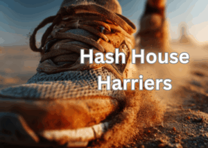 Hash run best for the year