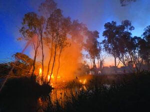 Disaster prep plans roll out