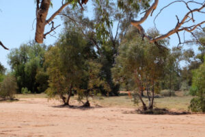 Land services seek feedback