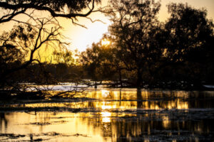 Fundraising for ecological site protection
