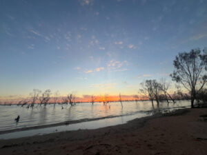 River restoration update released