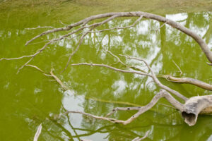 Red alert altered for Menindee