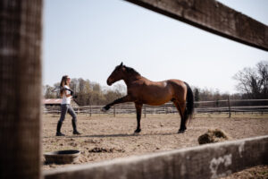 Horse owner defends local trainer