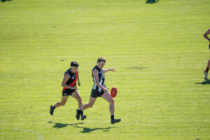 Dogs’ form puts out dynasty vibes