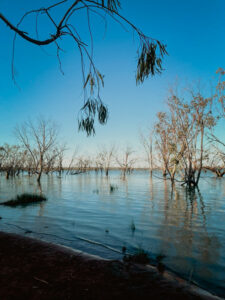 Fear for fish kills lessens