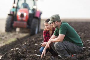 Another farmer wants another wife