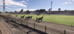 Ex-local trainer investigated