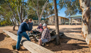 Free conservation camp on offer