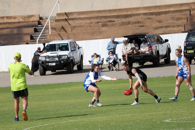 North, Central Set for Preliminary Showdown