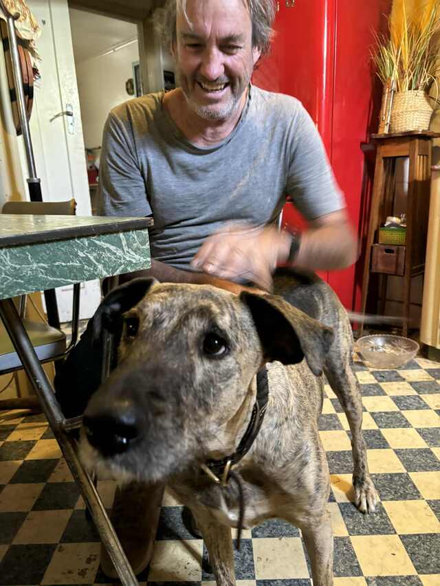 Dad day afternoon