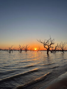 Water releases reduced at the lakes