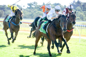 NSW opens horse racing review