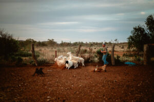 Working together for conservation and production