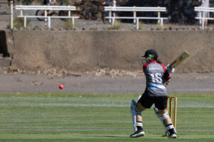 Robins Soar to Victory with Bowling Blitz