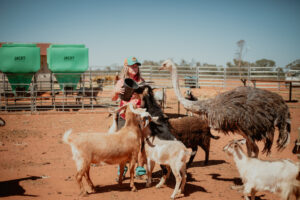 A farm full of misfits