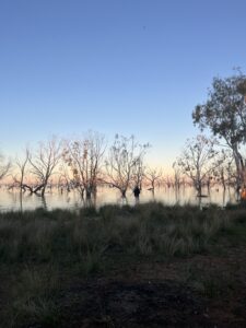 Contract awarded for fish passage