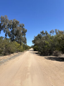 Proposed speed reductions hit speed bump