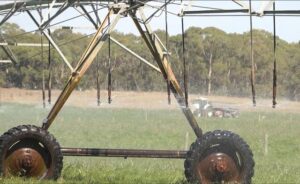 Environment group backs beefed up NSW water rules