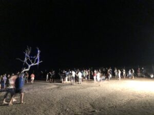 Three celebrations to ring in New Year