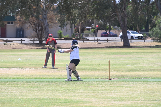 Brilliant bowling guides Central home