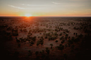 Stations bought for parks