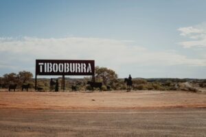 Copycat criminal sentenced