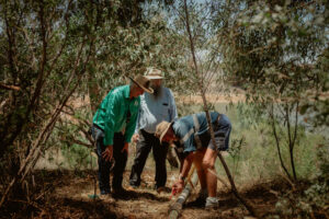 Turtles welcome life-saving water